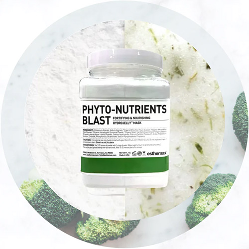 Offers Esthemax Phyto-Nutrients Hydrojelly Mask